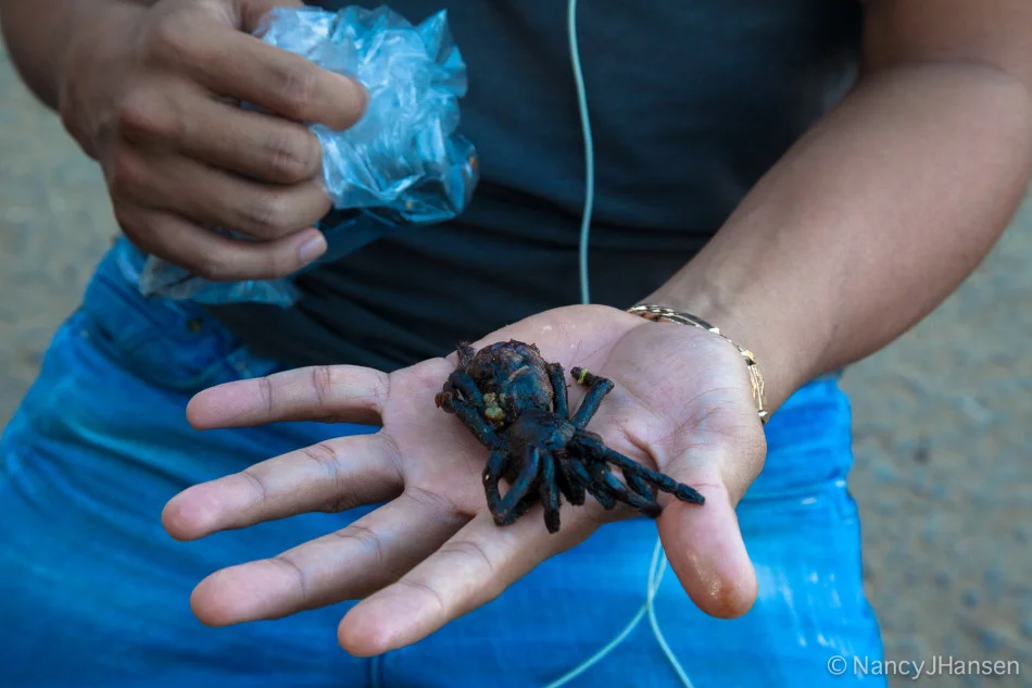 How about deep fried tarantula? This local man was eating them like potato chips.