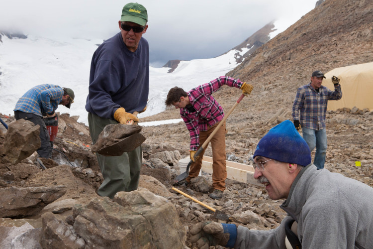Building a mountain hut. Photo by Roger Vernon.