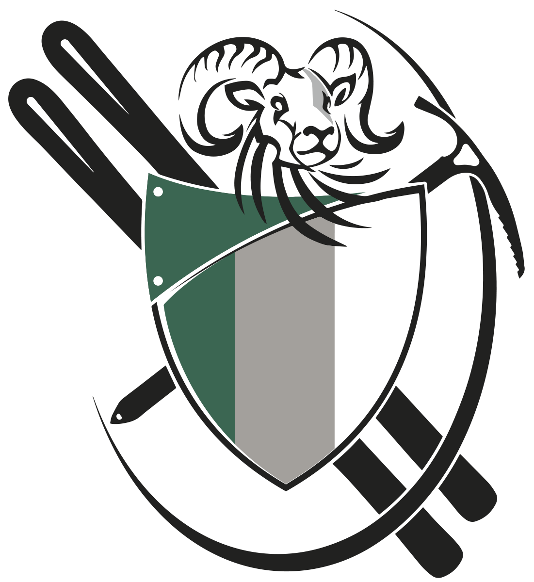 ACC_logo no text.png