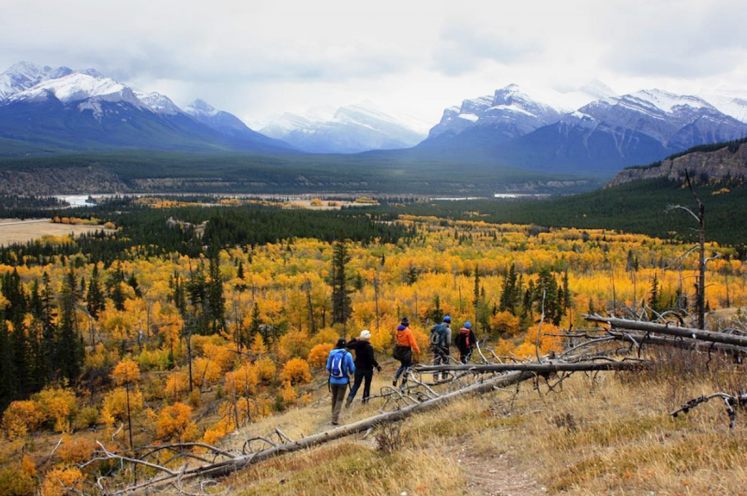 The Kootenay Plains area of the Bighorn Backcountry. Photo by Adam Linnard, supplied by Love Your Headwaters.