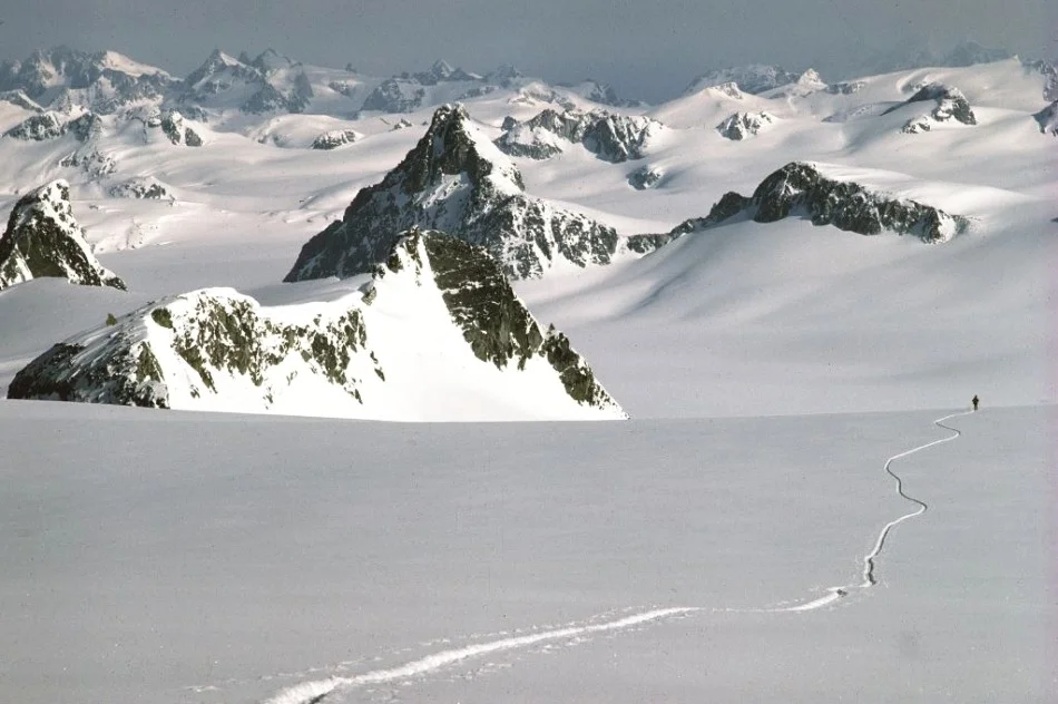 A skier meanders across the huge expanse of the Homathko Icefield in the Coast Mountains. Photo by John Baldwin.
