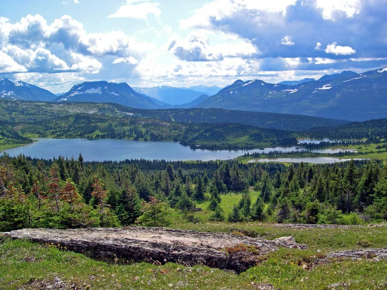 Wild Harts landscape in northern BC.