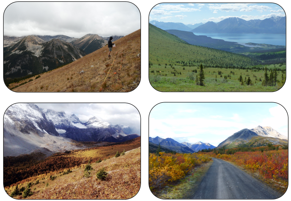 Figure 1: Diverse treelines across western and central Canada. (a) Coast Mountains of BC (photo credit: Andrew Trant), (b) Printer’s Pass Valley, Ruby Range, Kluane National Park, YT (Katherine Dearborn), (c) Goodsir Pass, Kootenay National Park, AB (Emma Davis), and (d) Mackenzie Mountains, NT (Steven Mamet).