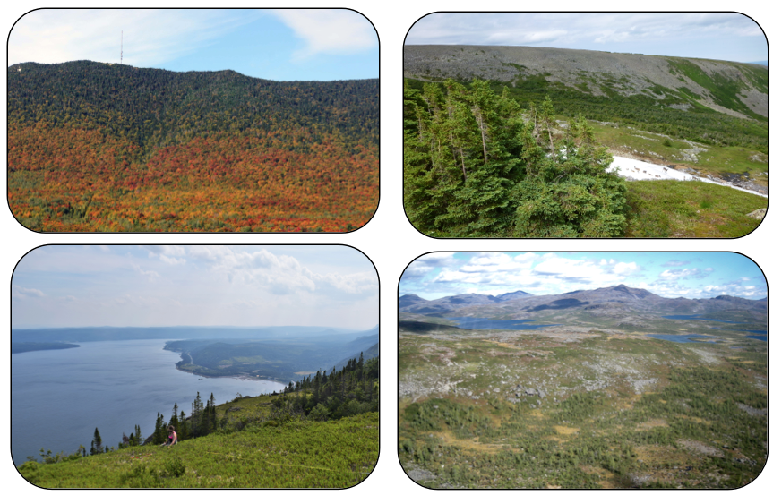 Figure 2 : Span of the Canadian Appalachian range in (a) Parc nationale du Mont Mégantic, QC (photo credit: Mark Vellend), (b) Chic Choc Mountains, QC (Sébastien Renard), (c) Long Range Mountains, Great Northern Peninsula, NL (Anna Crofts), and (d) Mealy Mountains, NL (Brian Starzomski).