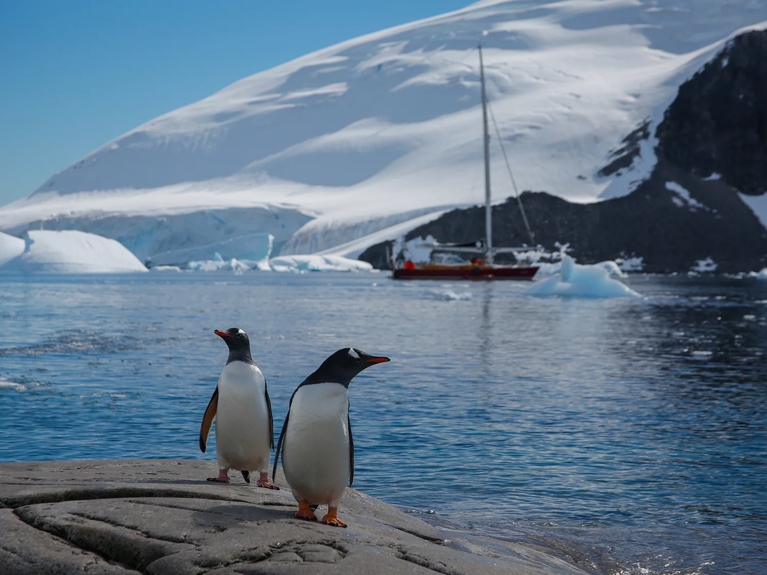 Our yacht for the six-week Antarctic trip was the Icebird out of Australia.