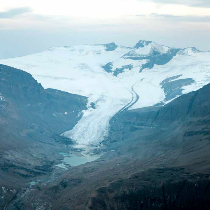 As is true for the vast majority of glaciers worldwide, the Peyto Glacier in Banff National Park has been retreating rapidly, especially since the last half of the 20th century, and has reportedly lost 70% of its mass since it was first measured. Photo: Ian Holmes
