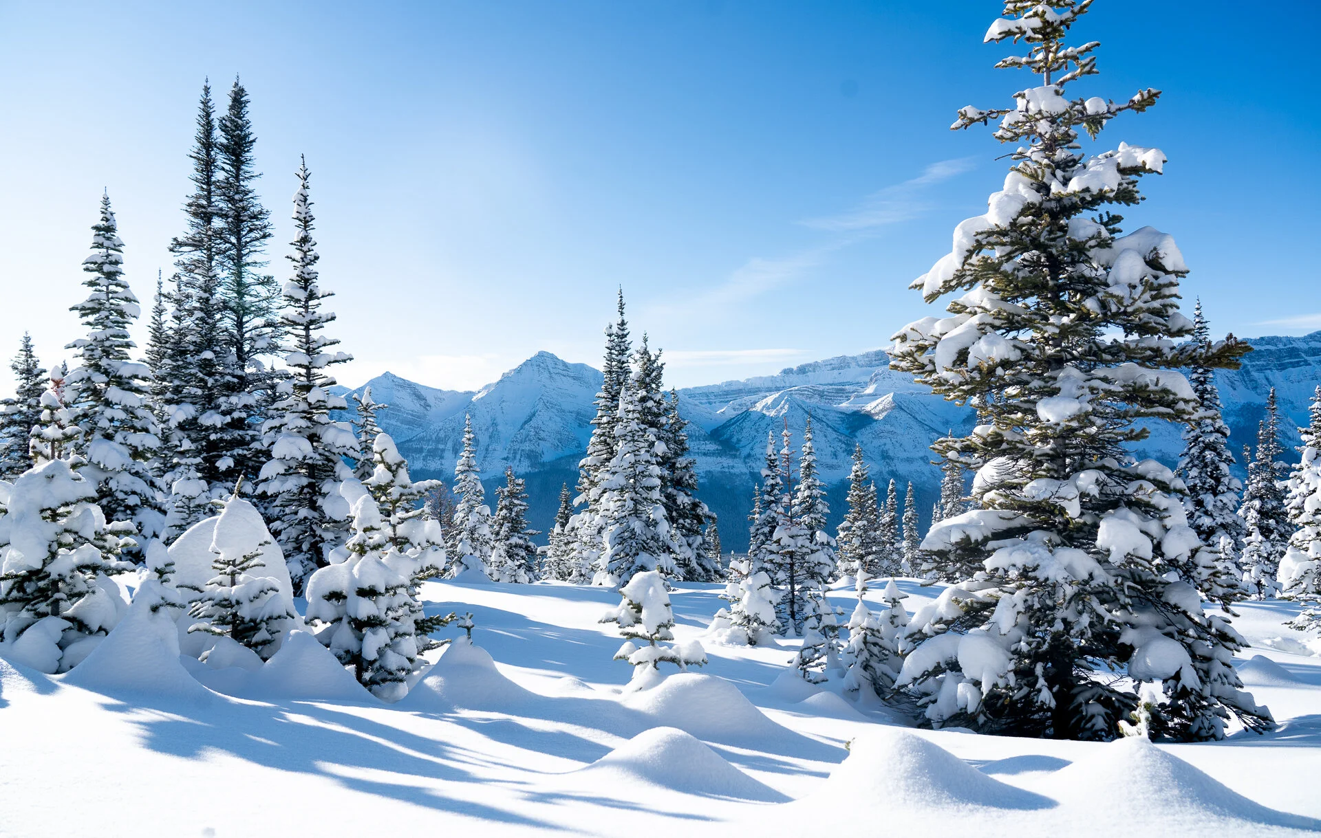 Top 10 pieces of ACC news for 2019