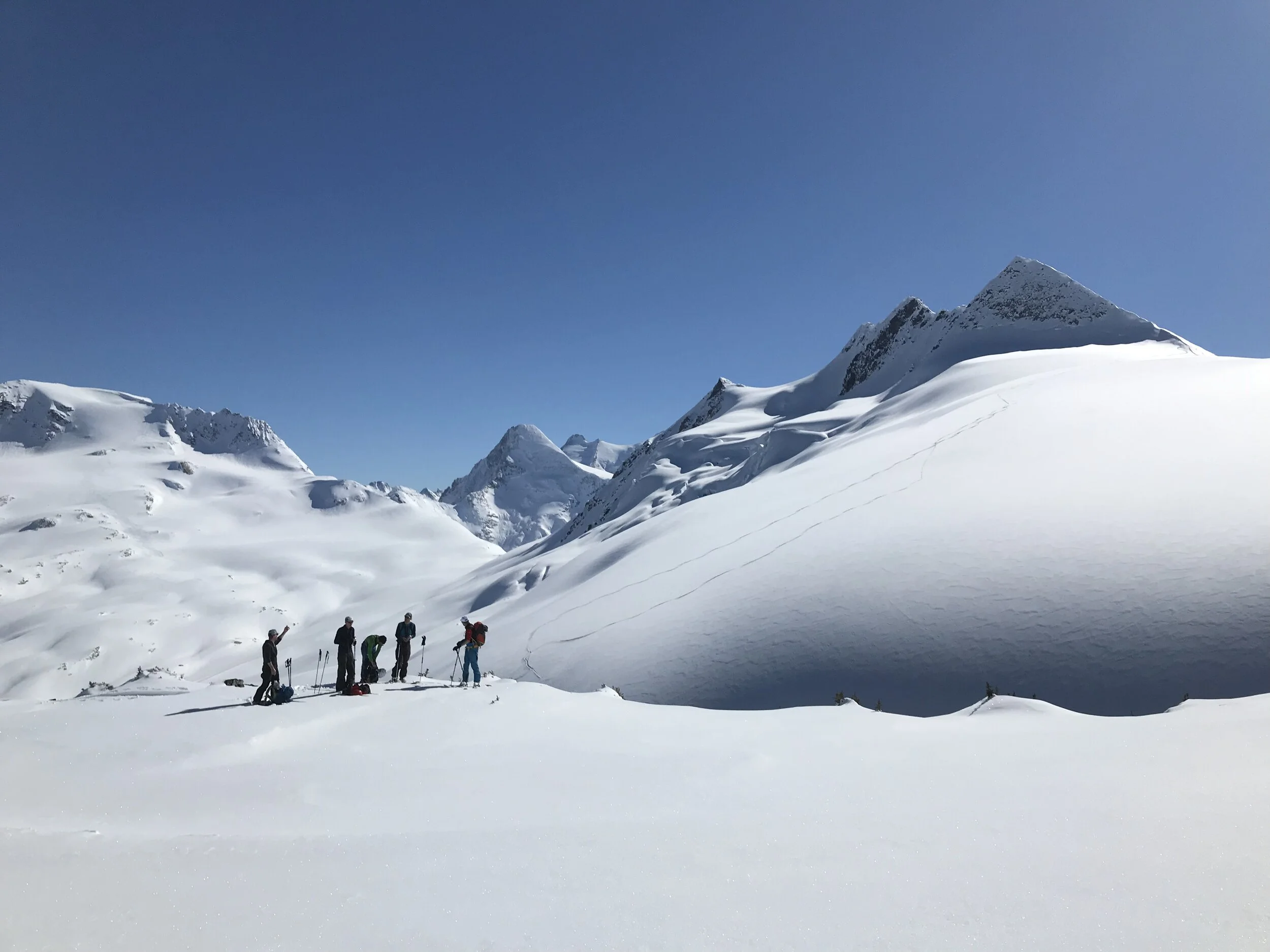 Section Profile: The Columbia Mountains Section