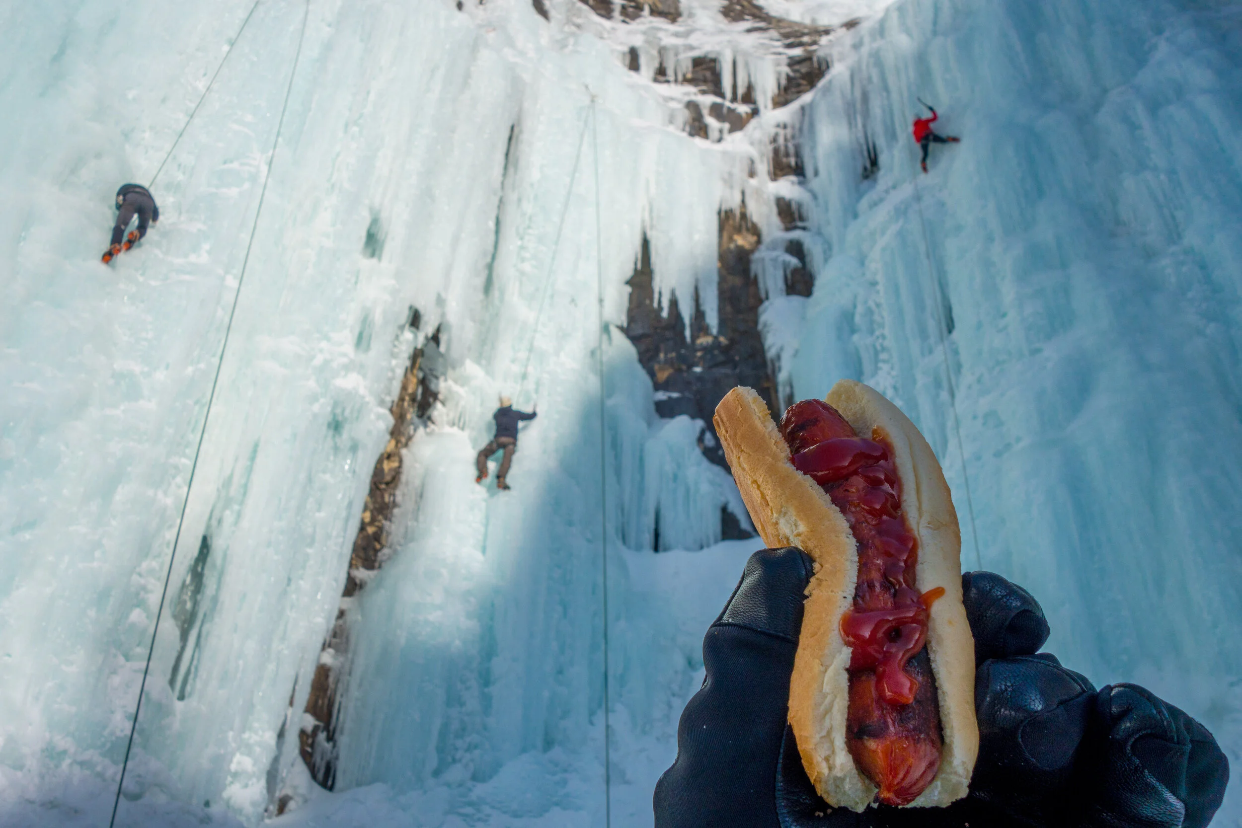 Section Profile: The Southern Alberta Section