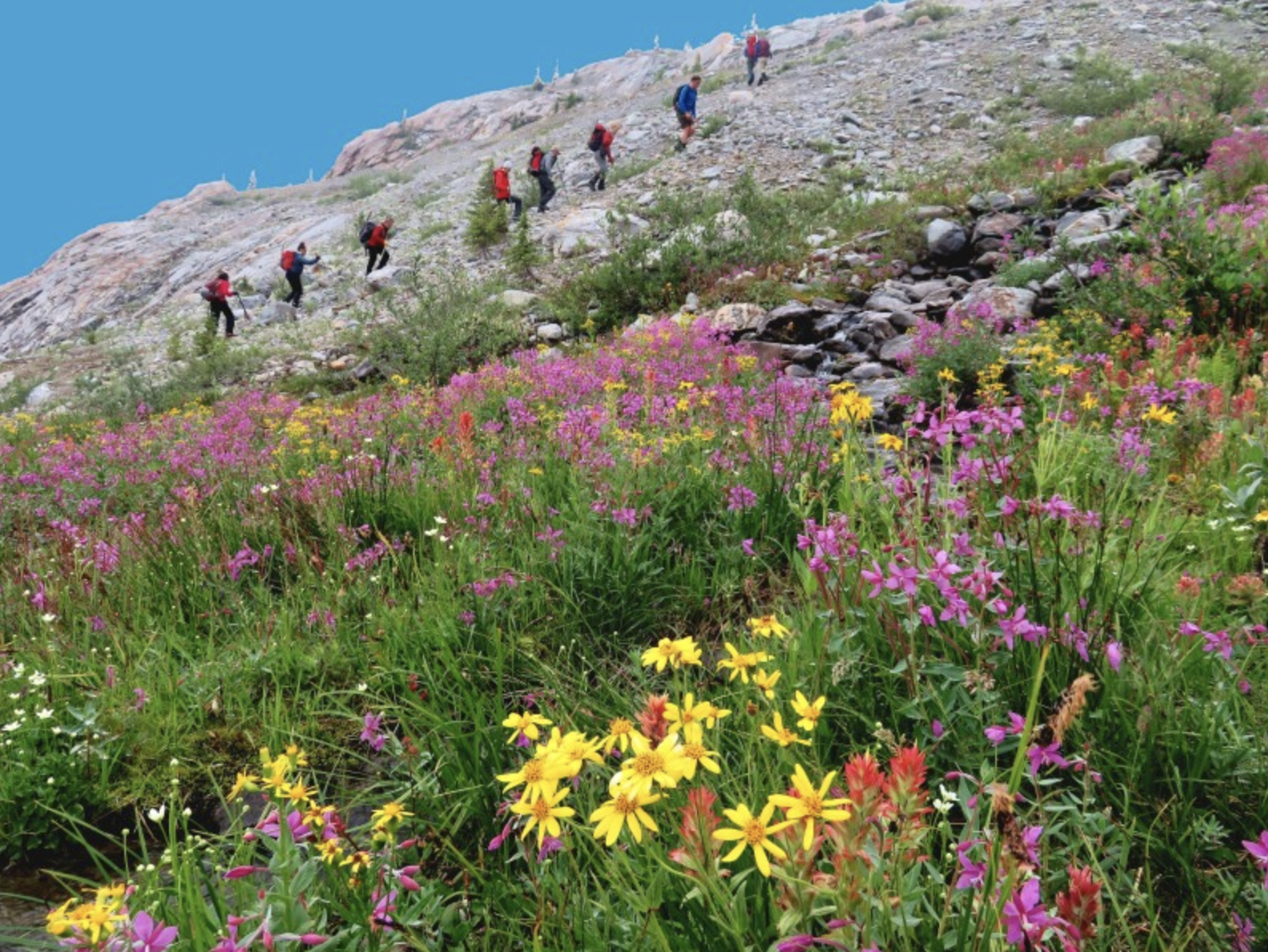 It’s on! Join us for the 2021 GMC