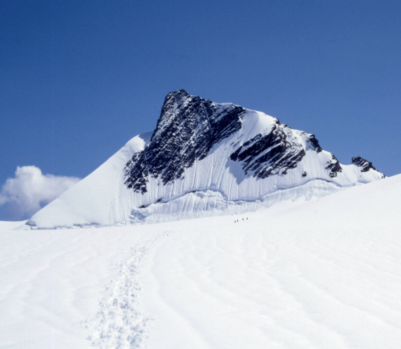 GMC 2021: Mummery Glacier - on the ground