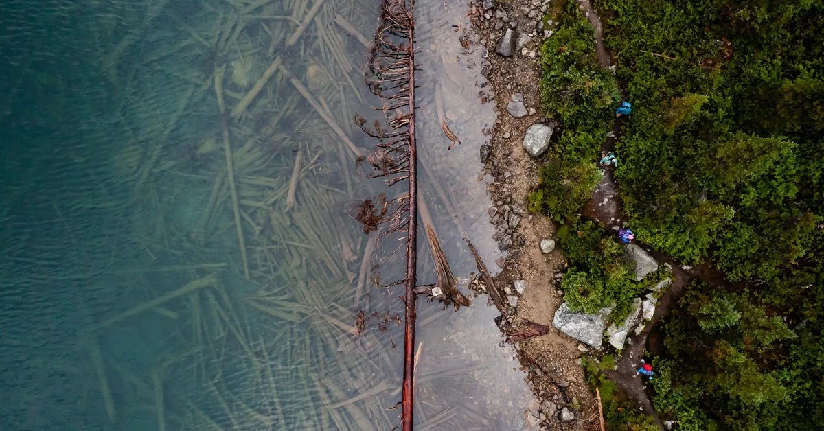 2022 Summit Bid: Experiences