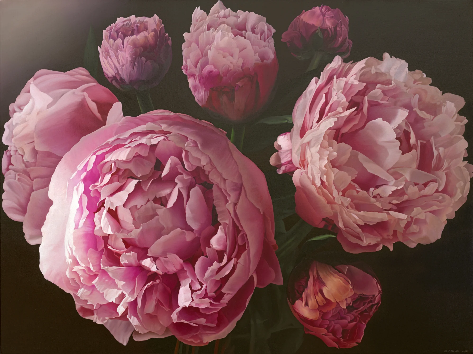 Blossoming in the Light web.jpg