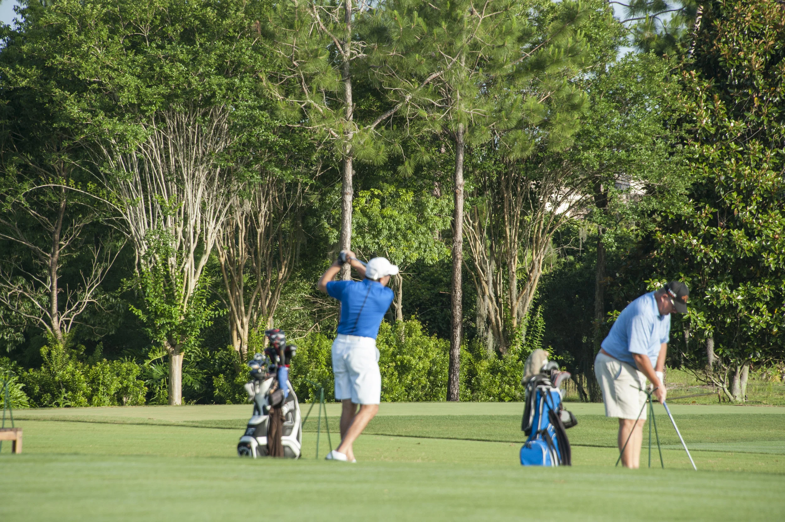 IPCF sponsors the Audi Quattro Cup with much success!