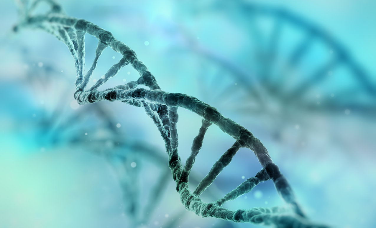 iStock-508496956-gene.png