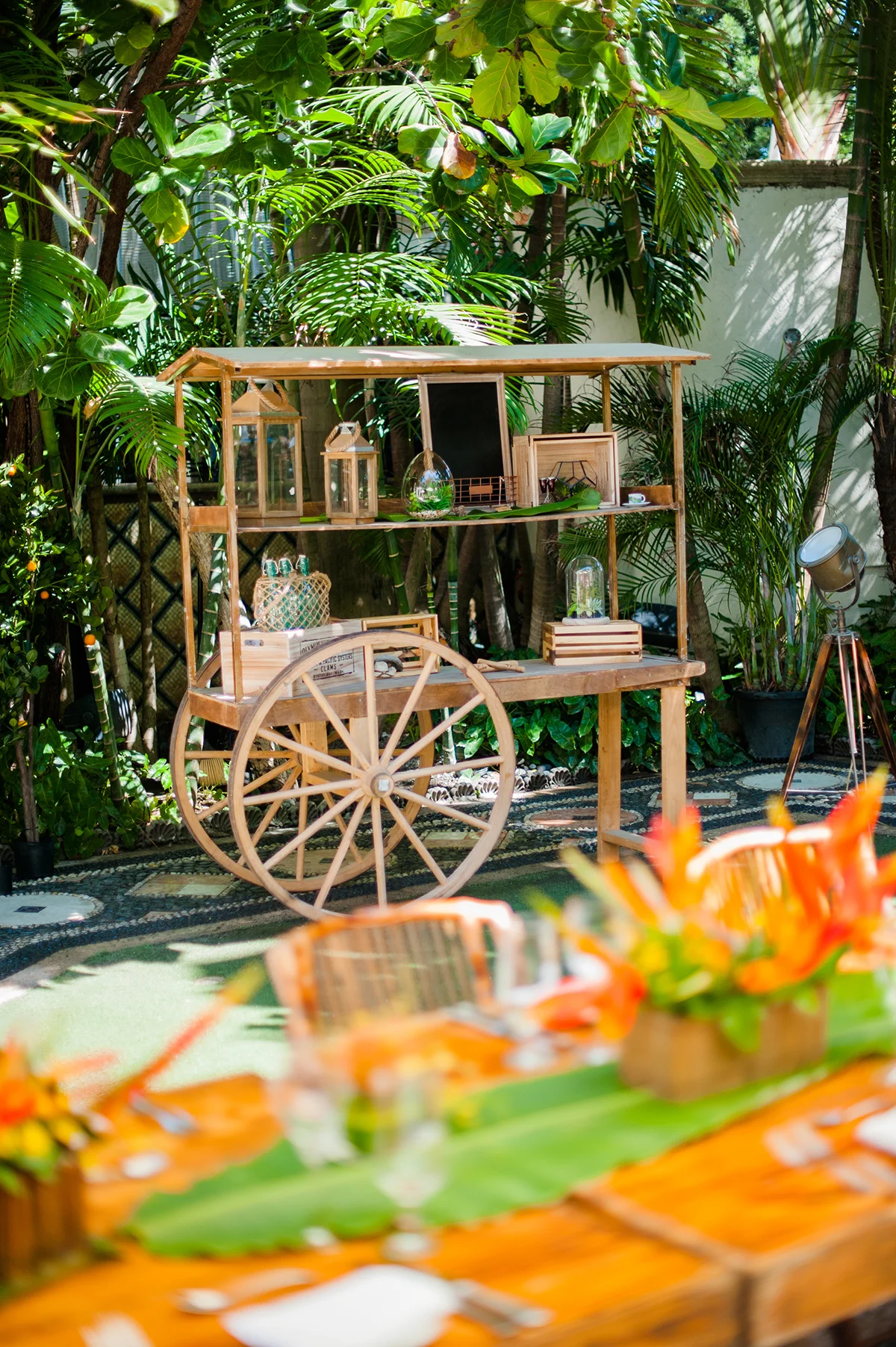 IPCF-MIAMI-LIGAPHOTO-12.jpg
