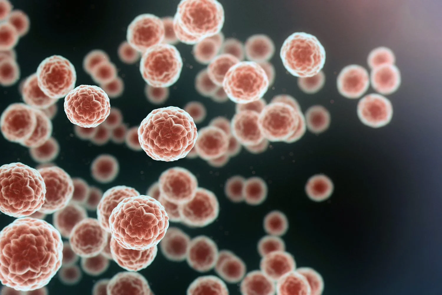Researchers at the University of East Anglia have made an important discovery about how prostate cancer may start to develop