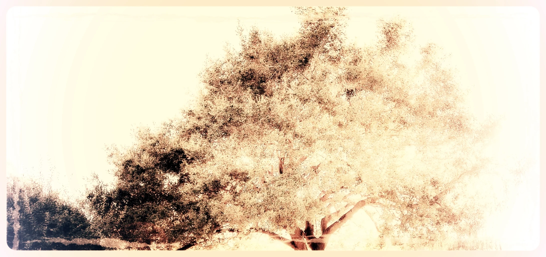 cloveandkin_20130914_0056.jpg