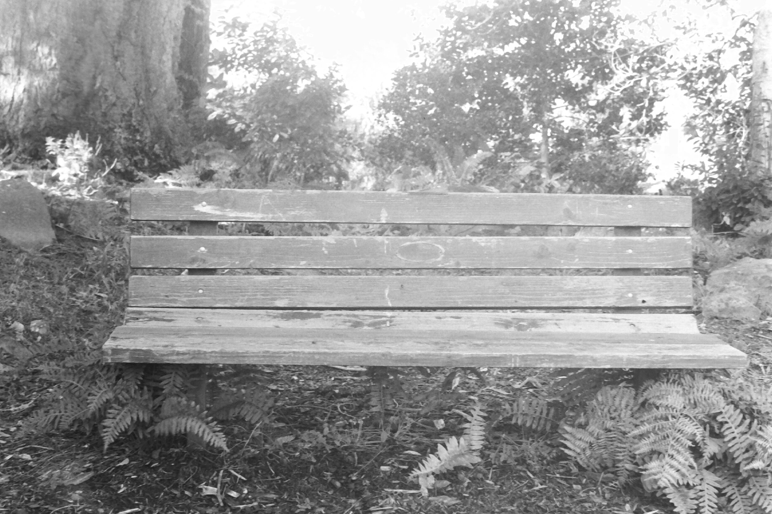 Bench