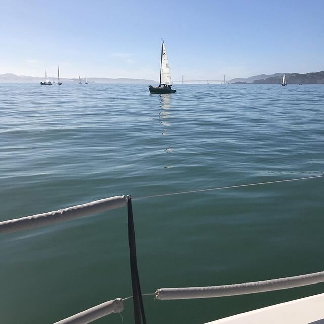 A calm day on the SF Bay #sfbayracing #midwinter #sailboatracing