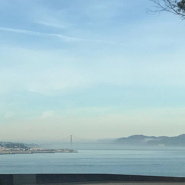 Good morning, #goldengatebridge !!! What a great view this morning from TI before a private ASPH course @tisailing #morningviews #happyfriday #privatecourse #sfbayarea #sanfrancisco #nauticalsolutions @boston_whaler #uspowerboating #boatsafe #caboate