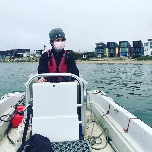 On-the-water training has commenced! Yesterday, we had a private lesson at the HMBYC and talked to some seals. Check out our website for the precautions that were taking to keep our clients and staff safe. #maskon #newboat #nautical #nauticalsolution