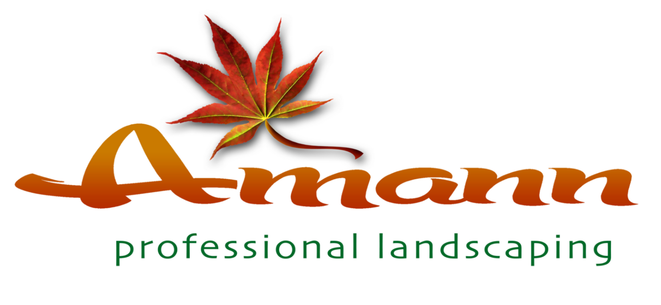 Amann and Associates