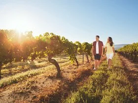 Granite Belt Wine Trail