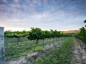 Nature and Foodies Trail 