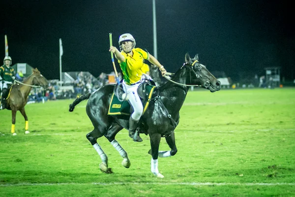 Polocrosse horse playing.jpg