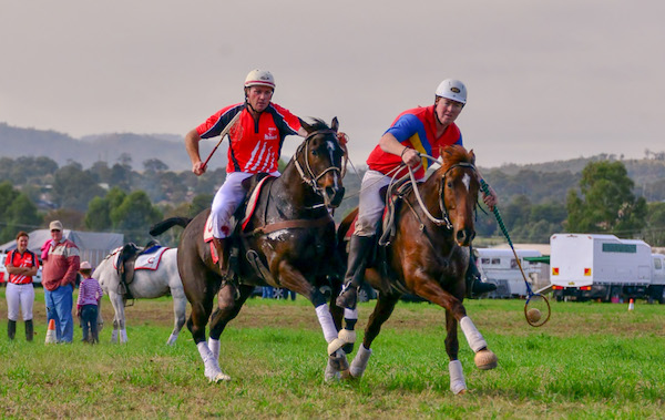 Member of the Australian Polocrosse World Cup Team, Lance Anderson, in action riding Australian Stock Horse EDENHOPE GRACE