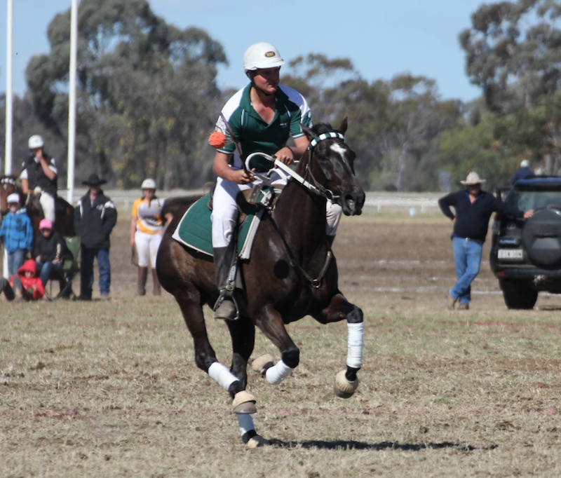 Screen Shot 2019-04-10 at 12.45.32 pm.png