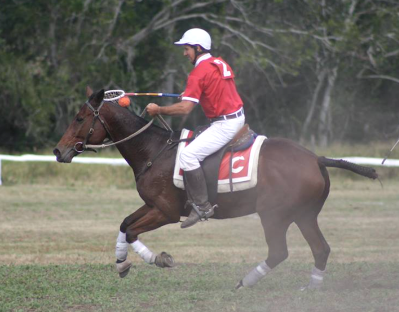 68. RAYJEN PARK NIGHT DROVER