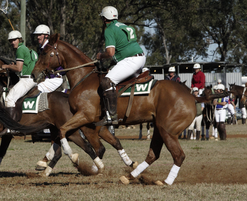 25. HAWTHORNE BIG JAKE
