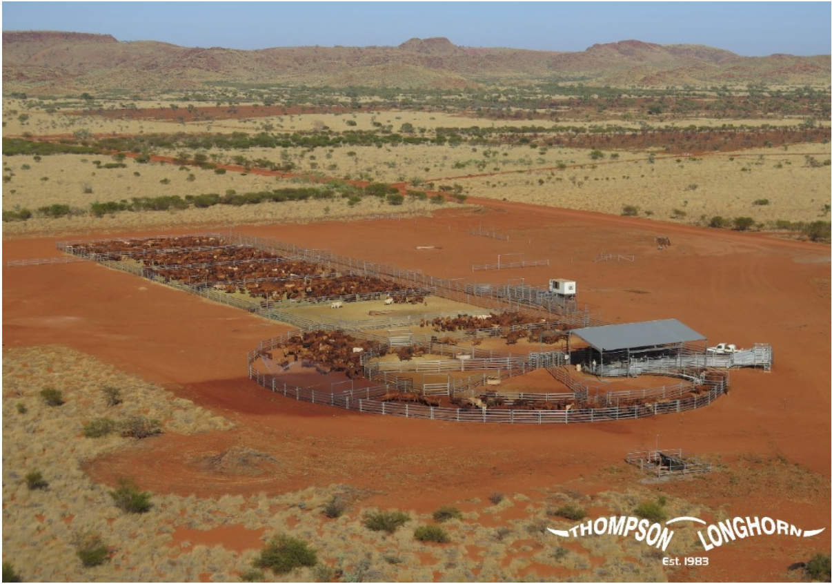 Are your cattle yards losing productivity?