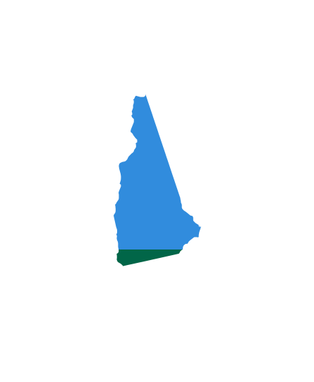 Wave-100-States-(1)-3.16NEW-HAMPSHIRE.png