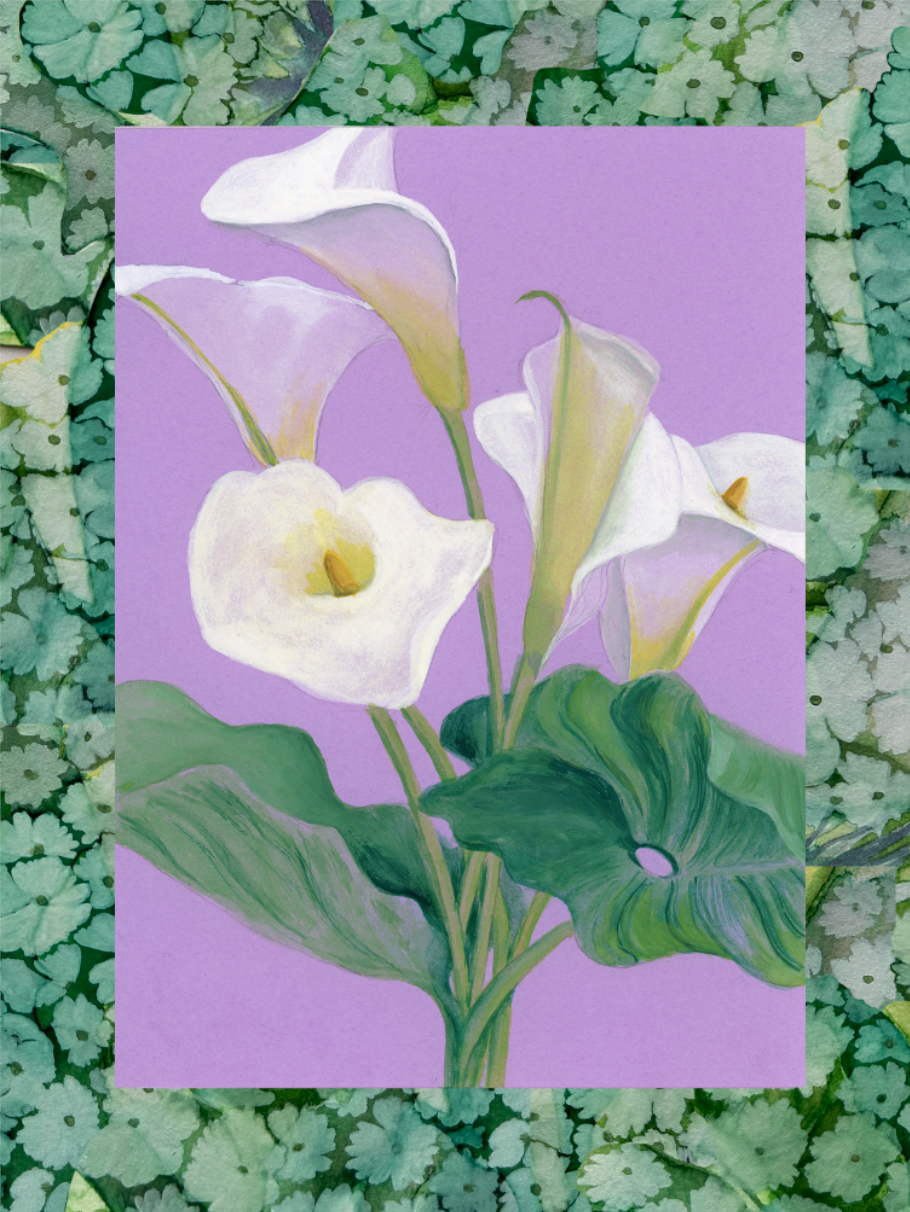 A painting of white calla lilies with green leaves against a light purple background, surrounded by a border of green foliage.