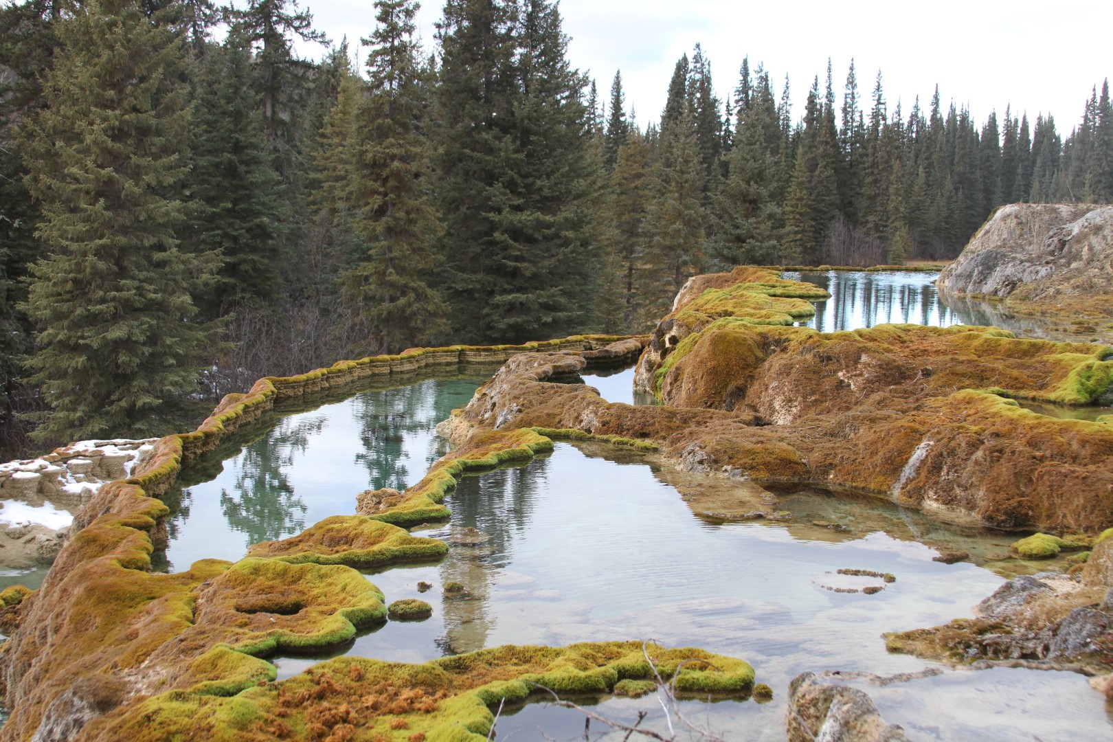 Grasby_Steve_Coal River Mineral Spring.JPG