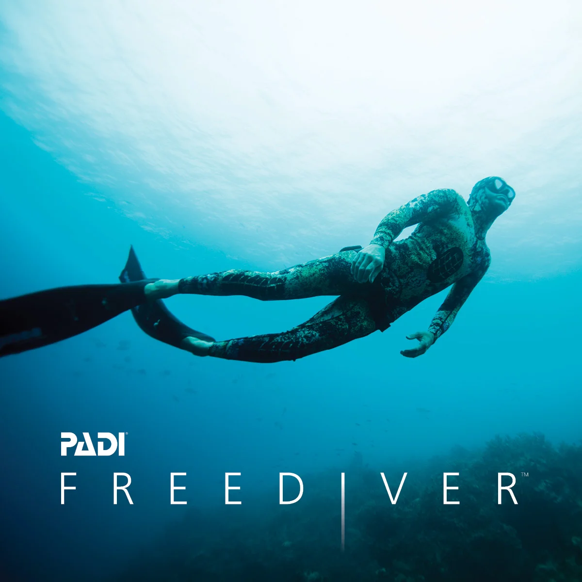 PADI - Freediver
