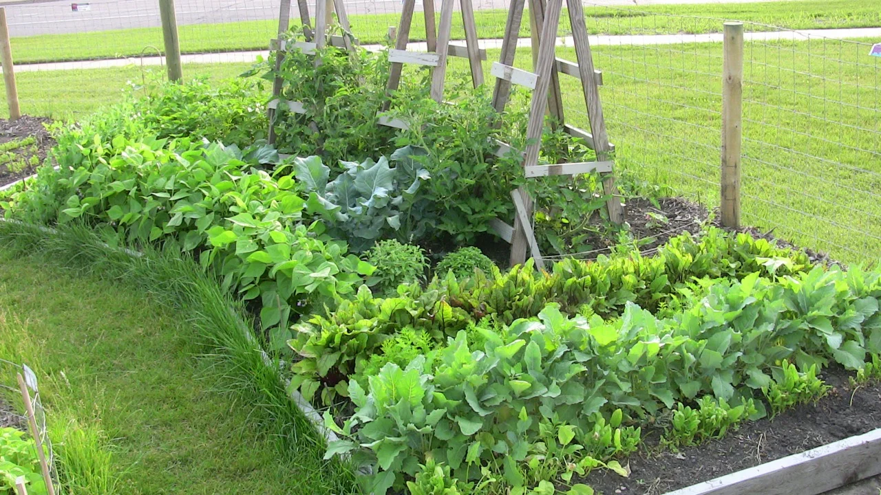 sample_garden_photo.jpg