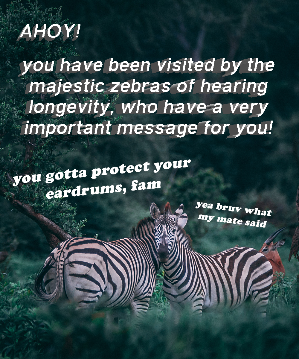 Artboard 3.png
