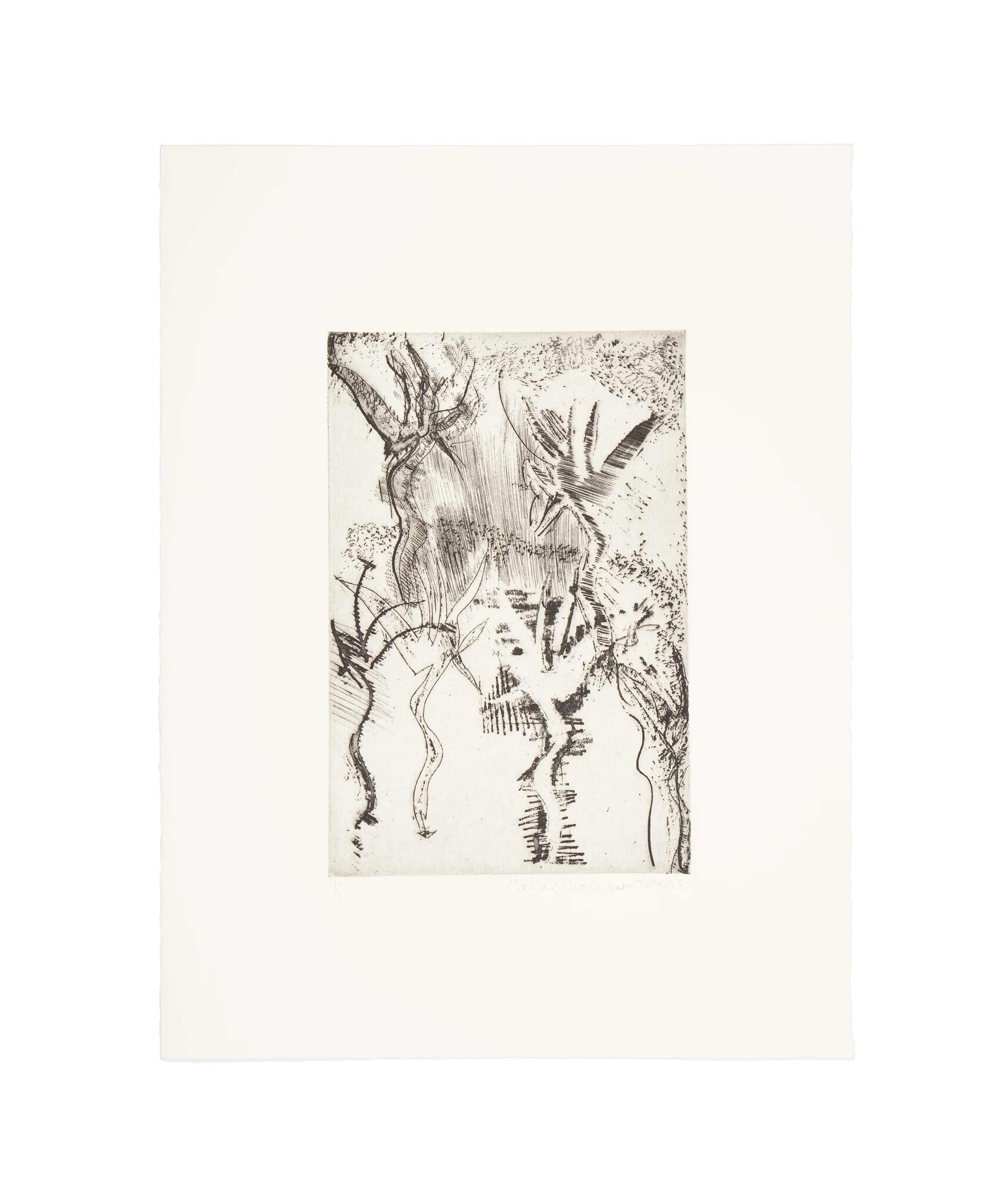 THE NYMPHS