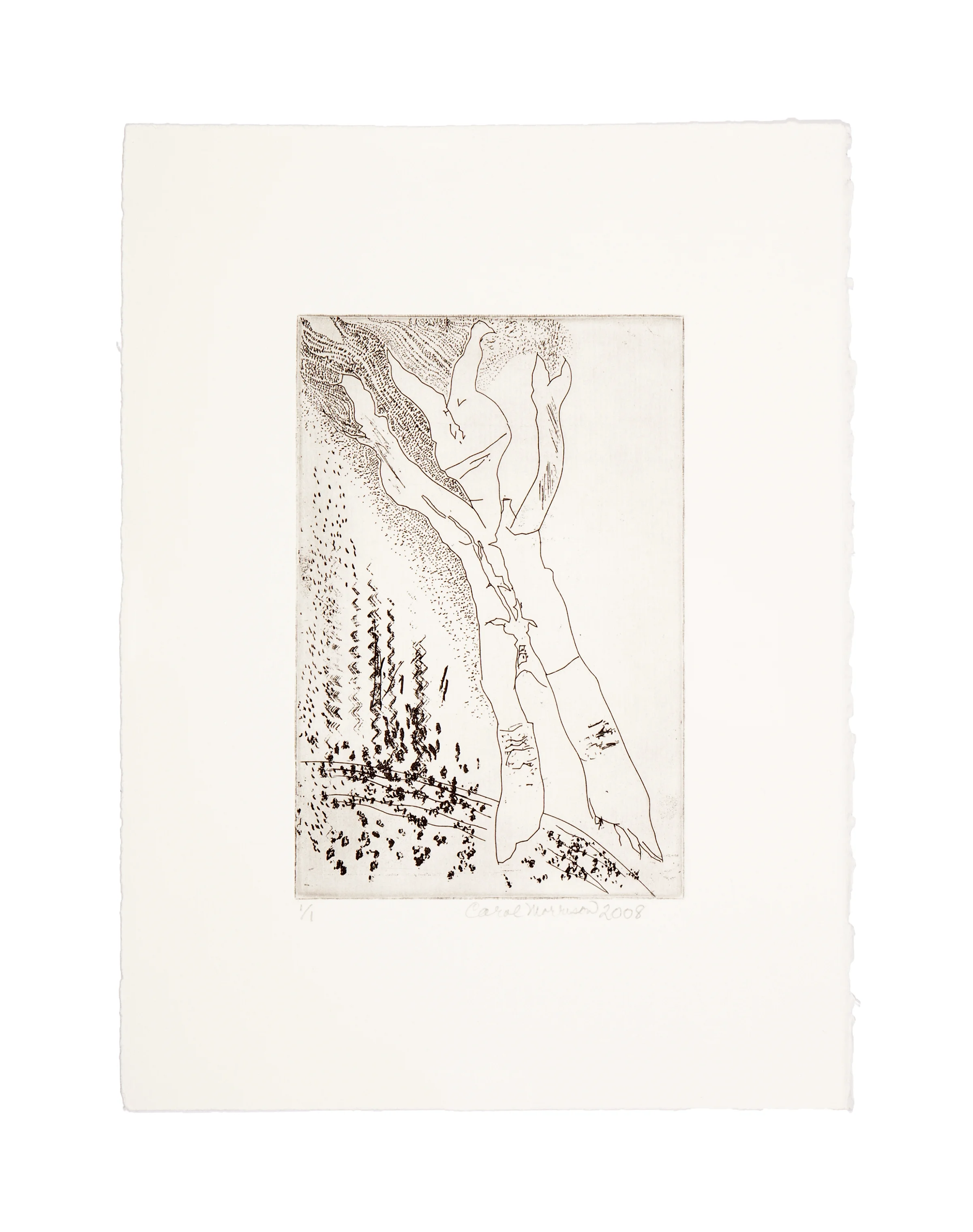 NOT A RABBIT Intaglio/monoprint Image: 6 x 8.9 inches Paper: 11 x 15 inches Printed by 10 Grand Press © 2008 Carol Morrison