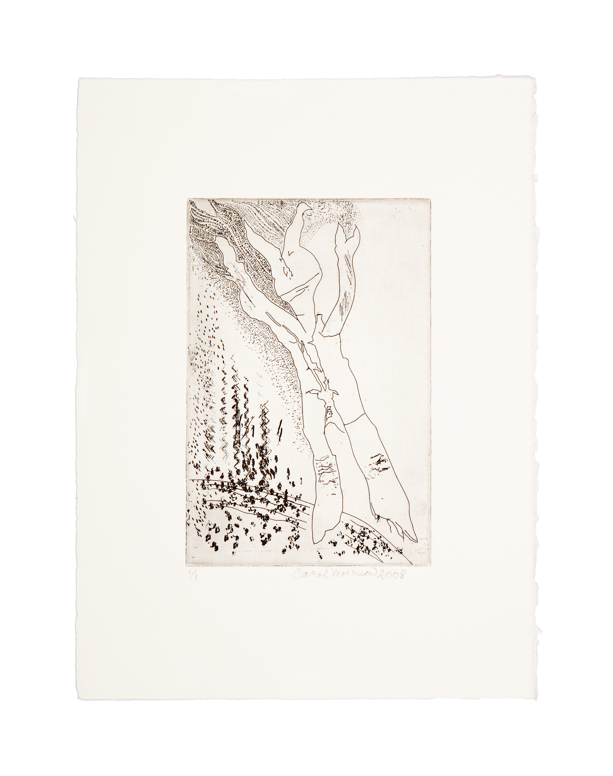 NOT A RABBITIntaglio Image: 6 x 8.9 inches Paper: 11 x 15 inches Printed by 10 Grand Press © 2008 Carol Morrison