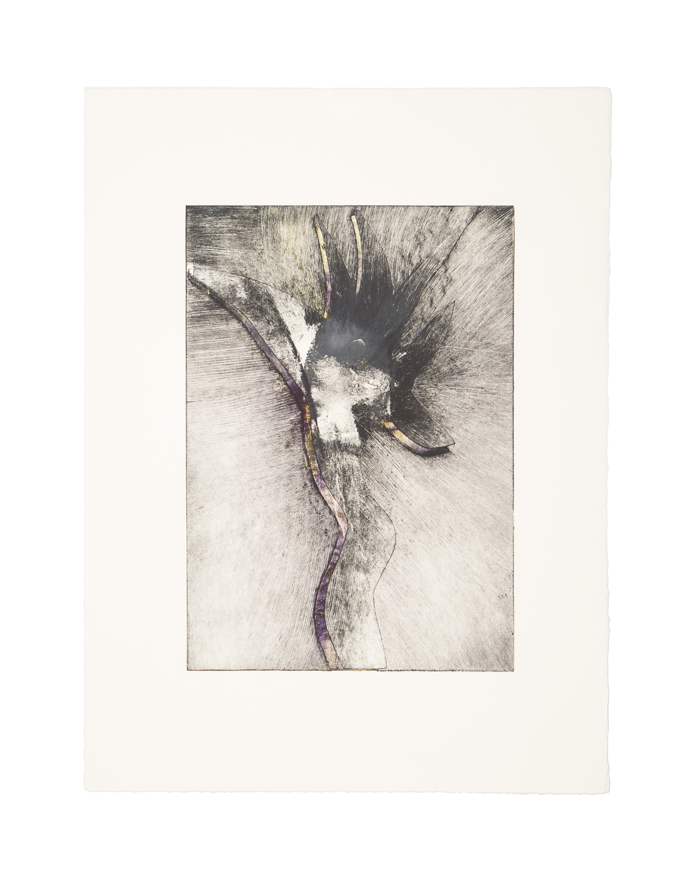 THE NYMPHIntaglio Image: 7 x 9.9 inches Paper: 11.25 x 15 inches © 2008 Carol Morrison