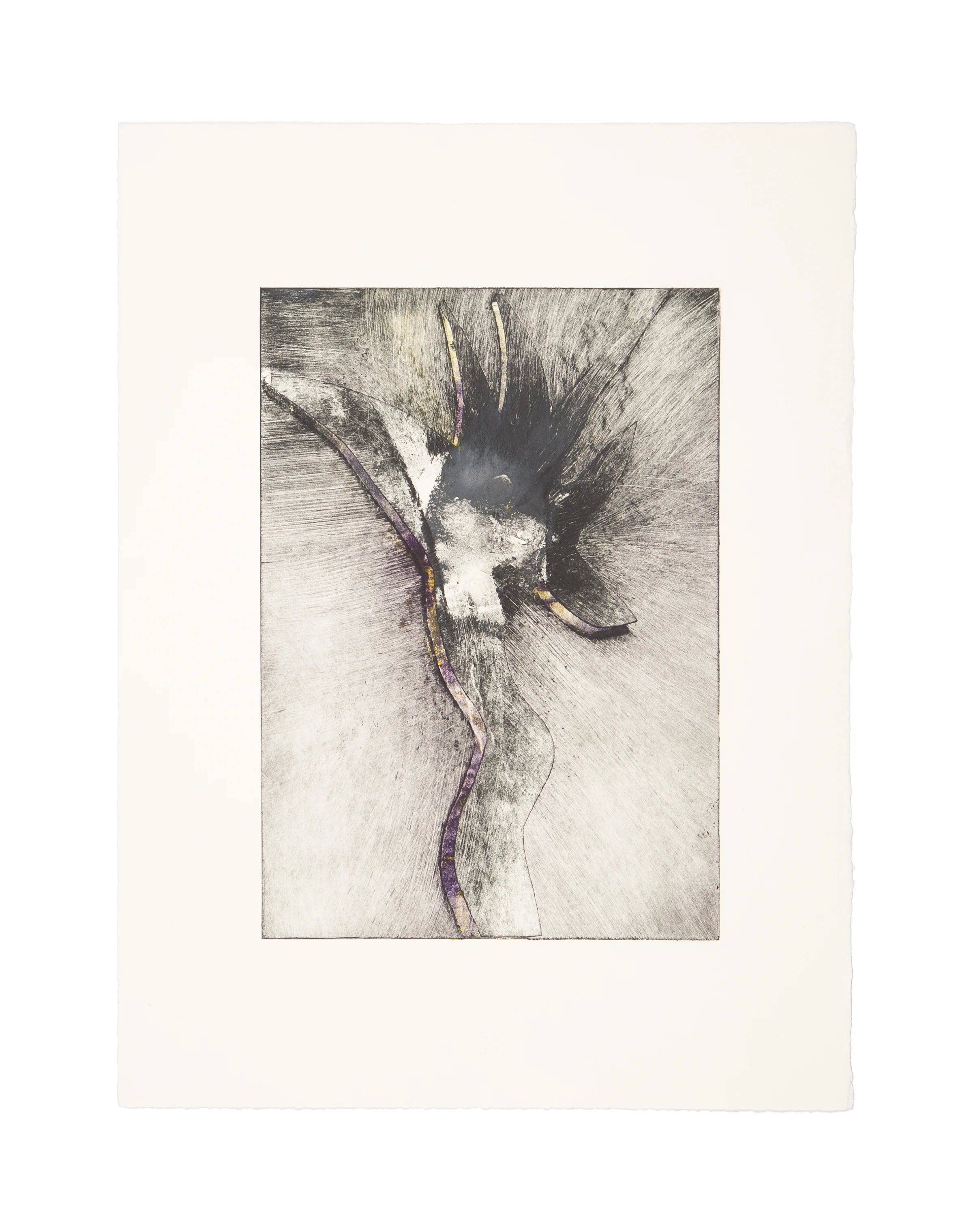 THE NYMPH Monoprint/intaglio Image: 7 x 9.9 inches Paper: 11.25 x 15 inches © 2008 Carol Morrison