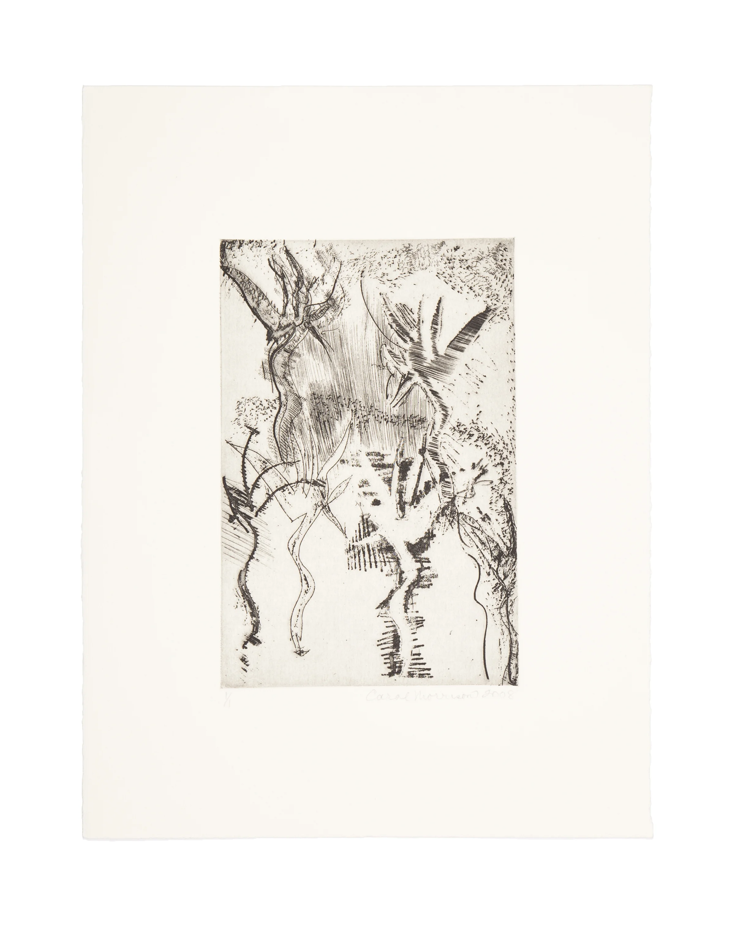 THE NYMPHS Intaglio Image: 5.85 x 8.9 inches Paper: 11.25 x 15 inches Printed by 10 Grand Press © 2008 Carol Morrison