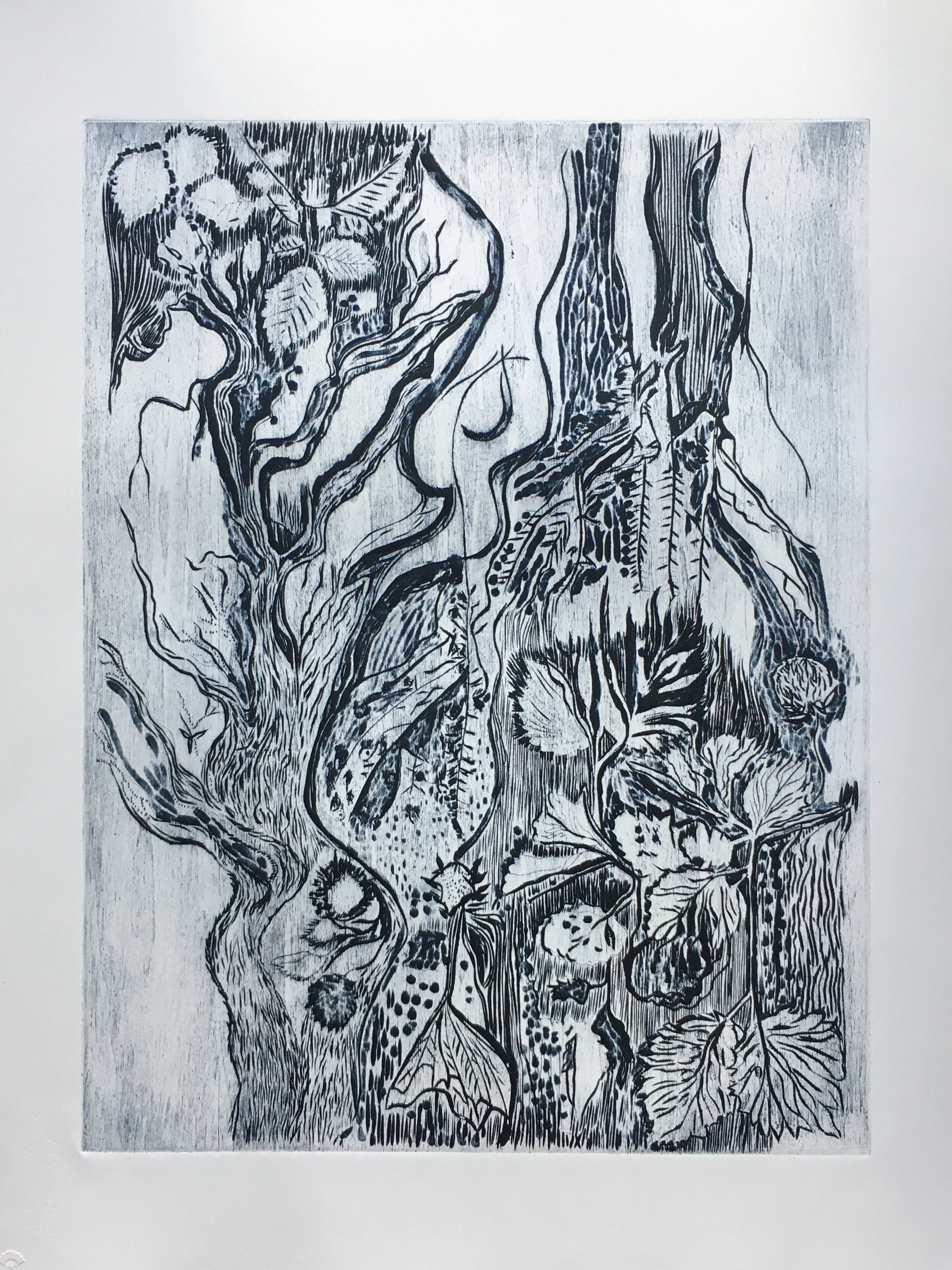  WOODS AND OTHER WORLDS Woodcut: Edition Variable I/II Image: 18 x 24 inches Paper: 22 x 30 inches Series of 2 Printed by Kathy Caraccio Printmaking Studio © 2021 Carol Morrison 