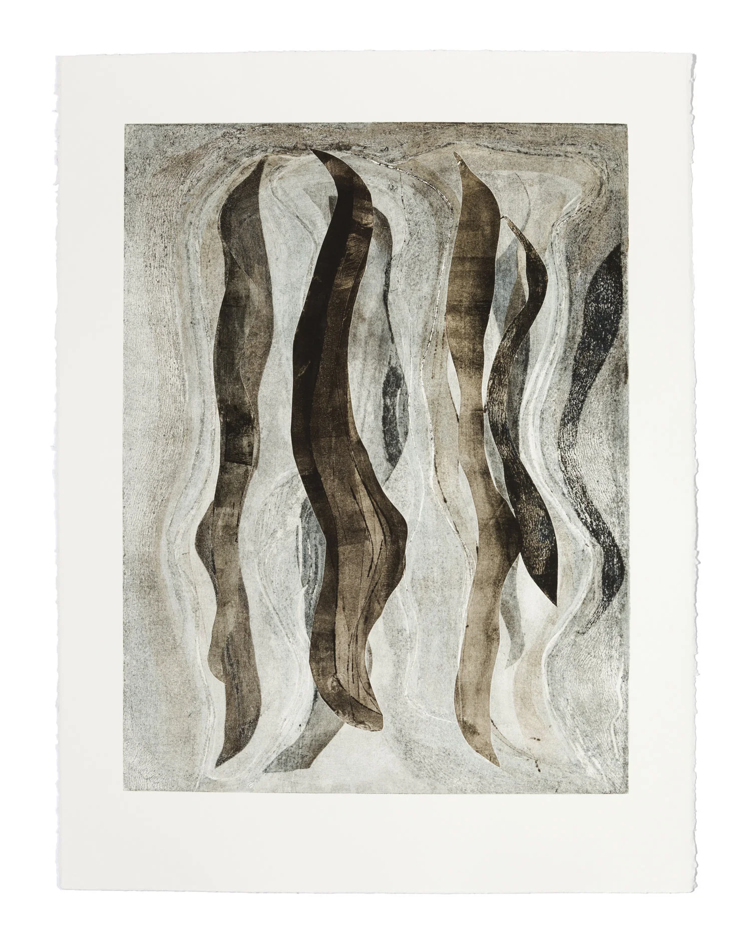  PHASES II Woodcut with carborundum and chine-collé Image: 17.75 x 24 inches Paper: 22.6 x 30 inches Printed by 10 Grand Press © 2017 Carol Morrison 