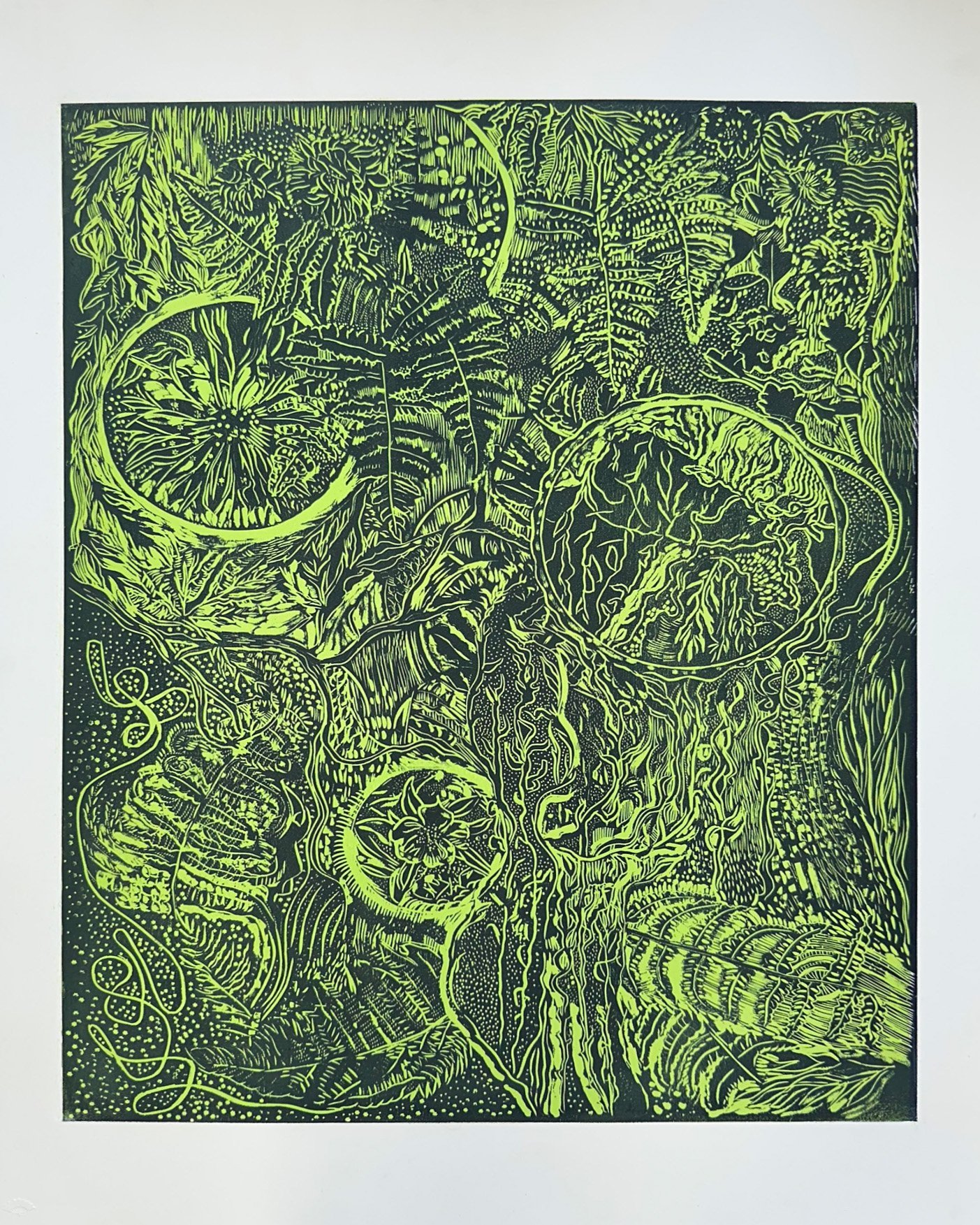 AFTER RAIN Image: 19.6 inches x 24 inches Paper: 20 inches x 30 inches Printed at Kathy Caraccio Printmaking Studio ©2025 Carol Morrison 